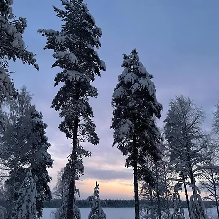 Rieskapaikka Chalet Koivu