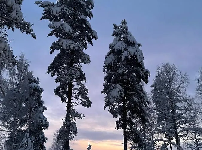 Rieskapaikka Horská chata Koivu